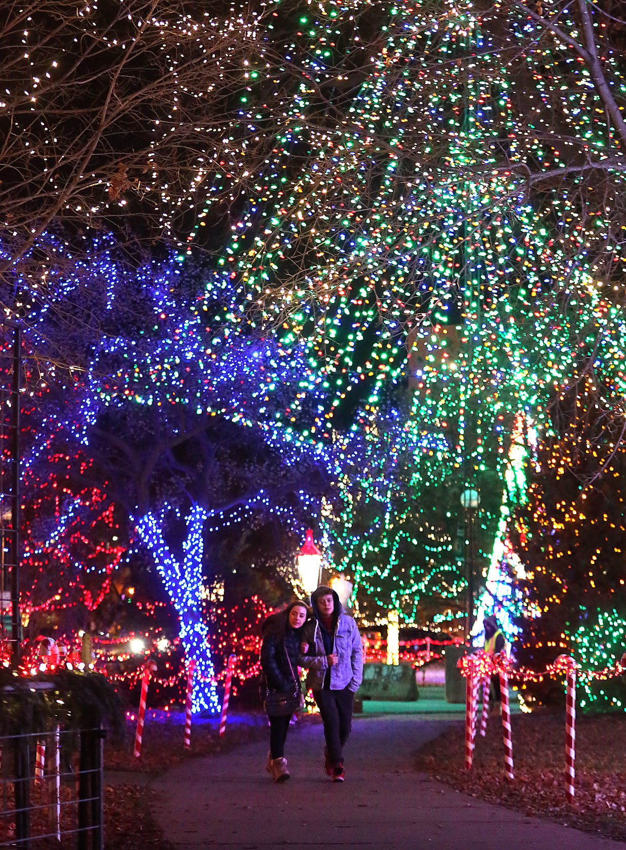 Rotary Lights